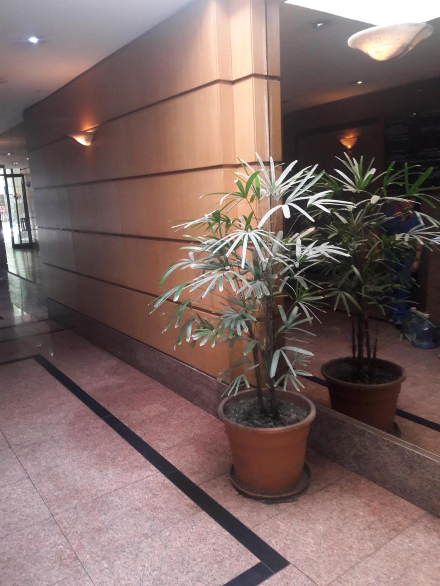 Apartmdz Apartamento